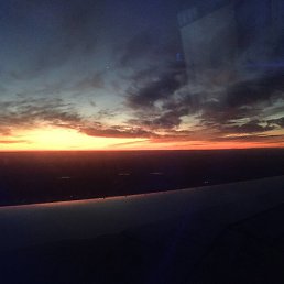 �����, ������