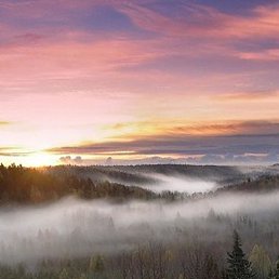 ������, ������, 43 ����