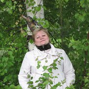 ����, 66 ���, ������