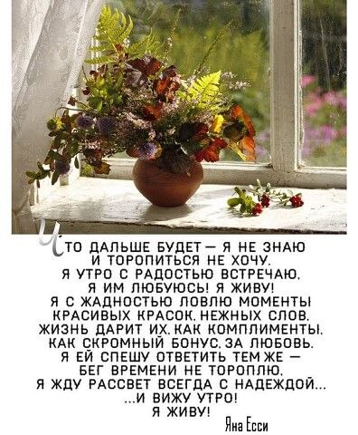   ,    . - 28  2025  16:04