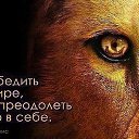 ���� �����, ������������, 54 ���� - ��������� 12 ��� 2025 � ������ ���� ����������