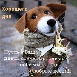 ���� ����, ������-��-����, 51 ��� - ��������� 16 ������ 2023