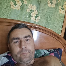 , 33, 