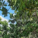 ���� �����, ������� - ��������� 24 ������� 2025 � ������ ���� ����������