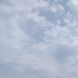 ���������, ��������, 60 ���