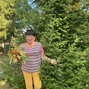 ���� ��������, �������� - ��������� 14 ������� 2025 � ������ ���� ����������