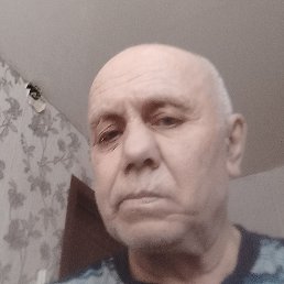 ������, �����, 66 ���