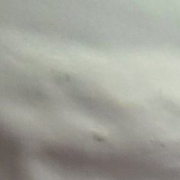 �����, ����, 39 ���