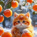 ���� ����, ��������� - ��������� 12 ������ 2026 � ������ ���� ����������