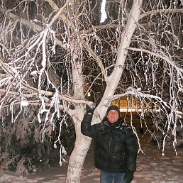 ���������, �������