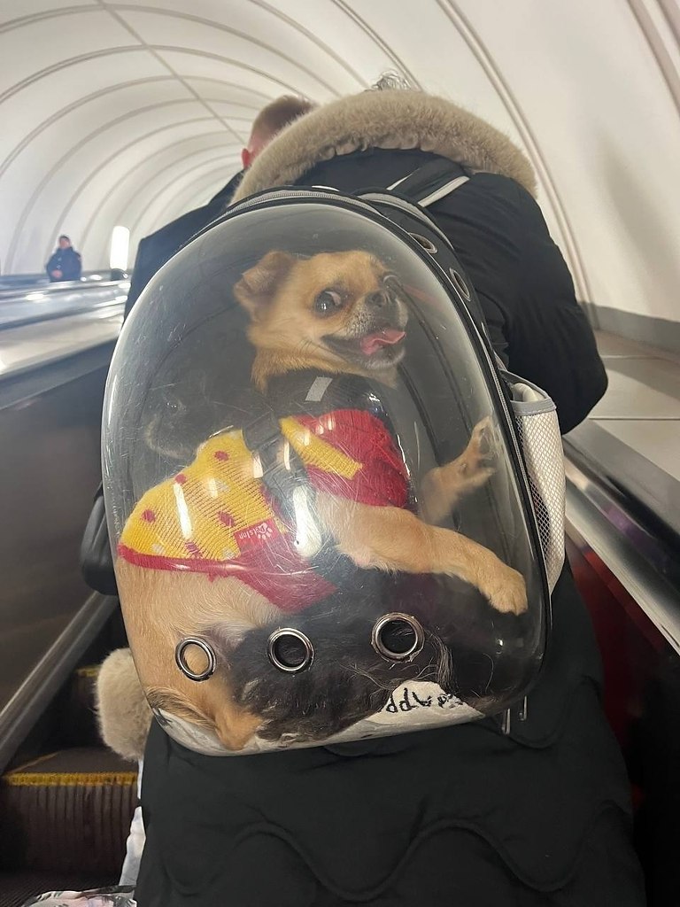 ����������� �������