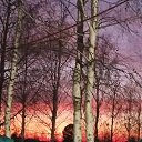 ���� ������, ����������� - ��������� 12 ������� 2025 � ������ ����� 2024�