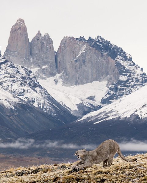 ���������� ���� � ����� ����� �������� - 2