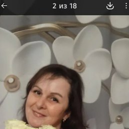 �����, 42 ����, ������