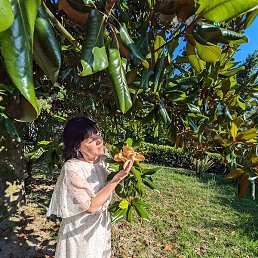 �������, ������