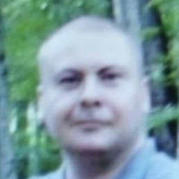 �������, ������, 46 ���