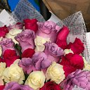 ���� Svet, ���������, 57 ��� - ��������� 13 ������� 2023 � ������ ���� ����������