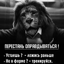 ���� �����)), ������ - ��������� 12 ���� 2025 � ������ ���� ����������