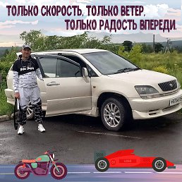 ���� ��������, ��������, 44 ���� - ��������� 2 ������ 2026