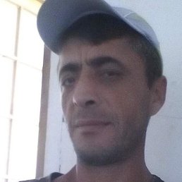 ����, �������, 47 ���