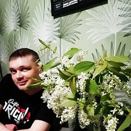 , 33 , 