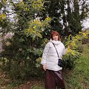 ���� ������, ����, 62 ���� - ��������� 10 ����� 2025 � ������ ���� ����������