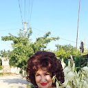 ������ ���� �� ������� ���� ����������