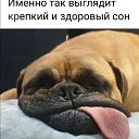  , , 55  -  16  2024    