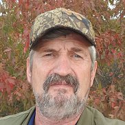 ��������, 67 ���, ������