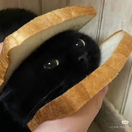 Esh, ������, 18 ���