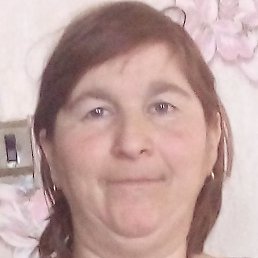 ����, ���������, 43 ����