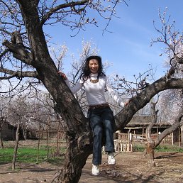 ����, ������, 49 ���