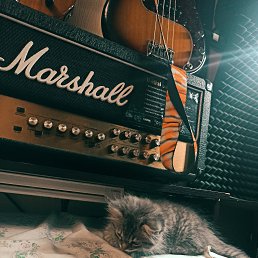 ���� ������, ������, 43 ���� - ��������� 6 ������ 2024
