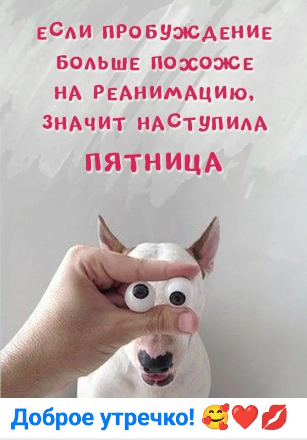 ***Victoria Viktorovna*** - 22  2024  05:28
