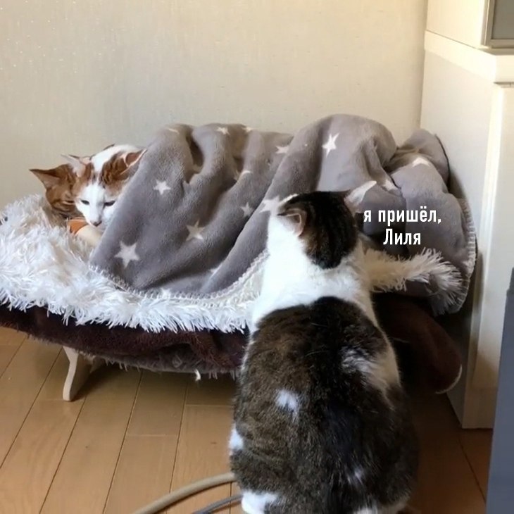 �� ��� ������)