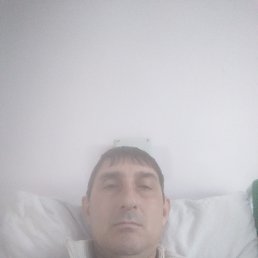 , 41 , 