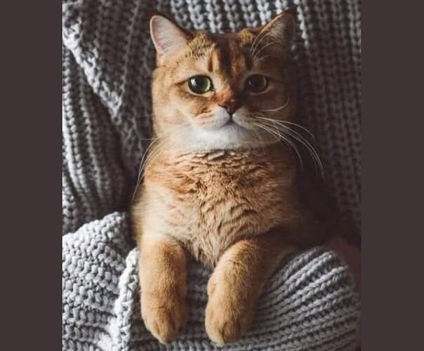 o c c e.  pc  e c  o e c p a.  p, p ...