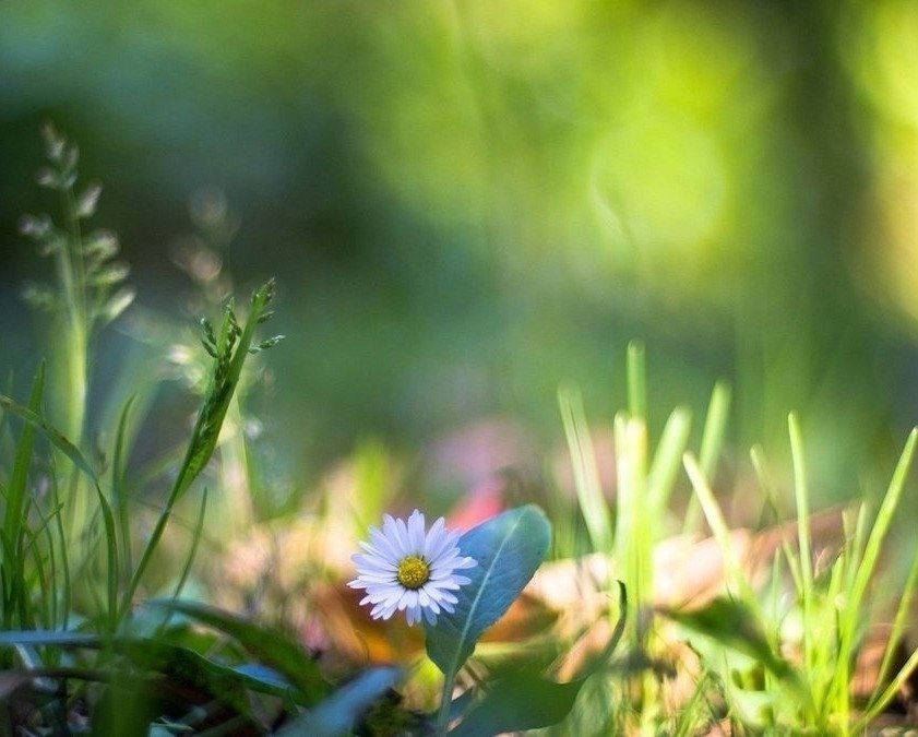 ��������� ������ �� ���� - �������� ������ �������� ���������������� � ����� � ���� � �������� ...