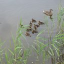 ���� ������, ���, 51 ��� - ��������� 28 ������ 2023