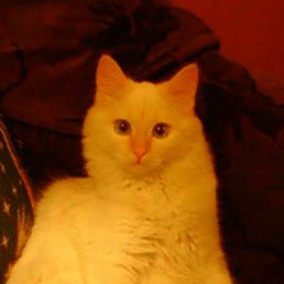 �����, ������, 25 ���