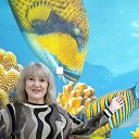 ���� �����, ������, 59 ��� - ��������� 27 ������� 2025 � ������ ���� ����������