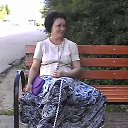 ���� ���������, ������� �������� - ��������� 29 ��� 2026 � ������ ���� ����������