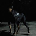 ���� ����, ����, 50 ��� - ��������� 2 ������� 2025