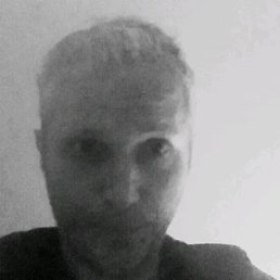 �����, �����������, 36 ���