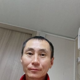 , 41, 
