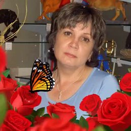 ���� �����, �����������-��-����� - ��������� 29 ��� 2024