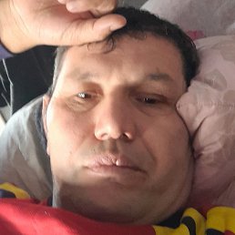 �����, ���������, 46 ���