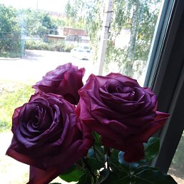 ���� �������, ����, 45 ��� - ��������� 29 ����� 2024