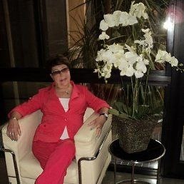 ���� �����, ������, 67 ��� - ��������� 3 ����� 2024