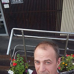 , 44, 